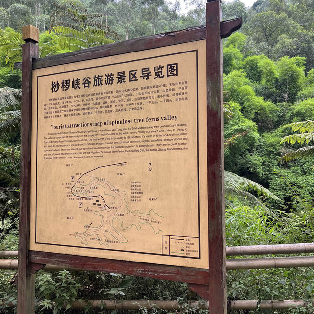 成都周邊桫欏峽谷：自然徒步