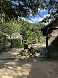 勉強の神様がいる萩の神社
