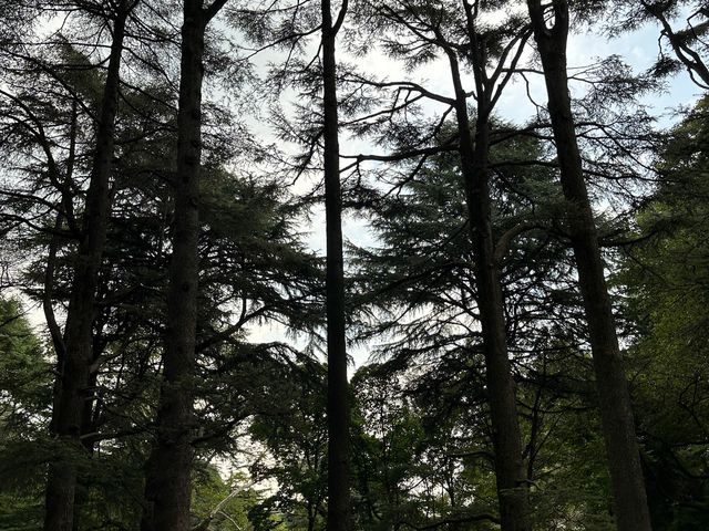부모님과 도쿄여행, 신주쿠 공원🏞️🇯🇵