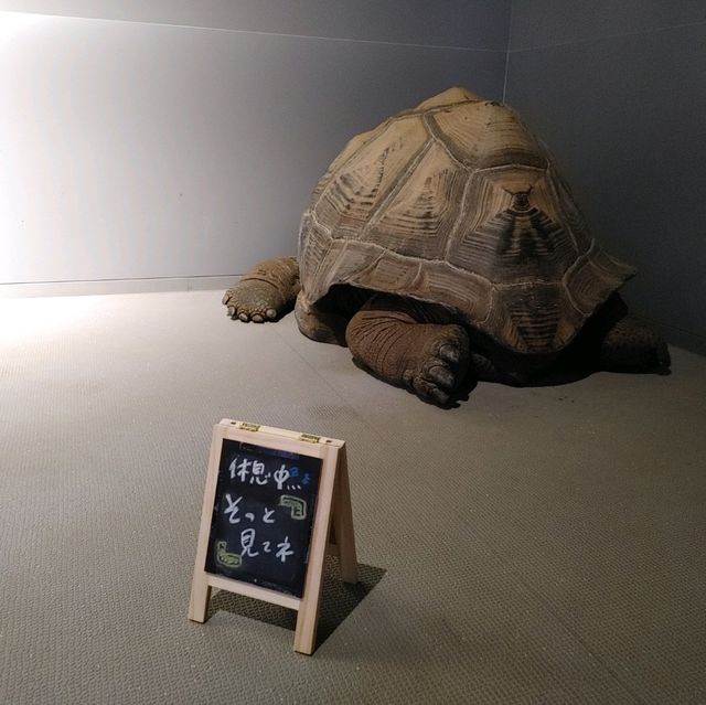 美術館のような水族館　神戸アトア（átoa）