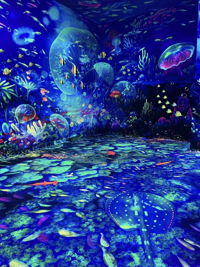 🌈珠海畫遊梵高沉浸式藝術館✨