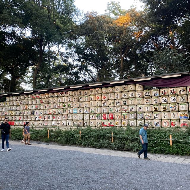 Japan Travels: Visiting Meiji Jingu, Shibuya