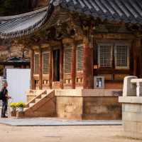 Beautiful Autumn View Of Beopjusa Temple 