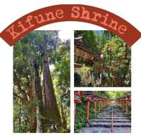 A visit to Kifune Shrine 🐞