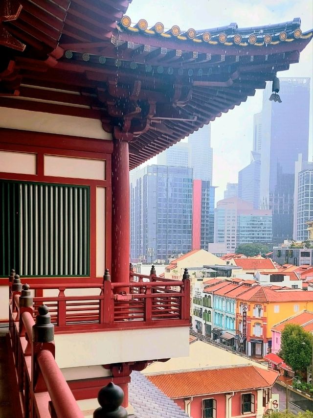 A Tranquil Escape at Buddha Tooth Relic Rooftop Garden