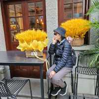 思南路體驗老上海