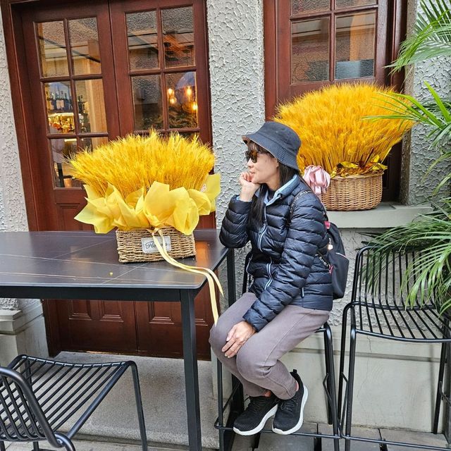 思南路體驗老上海 思南路體驗老上海