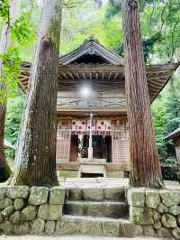 【島根県/物部神社】2023年行ってよかった！島根県の神社11