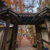 地藏院：南投埔里鎮佛教寺院，禪林和圖書館
