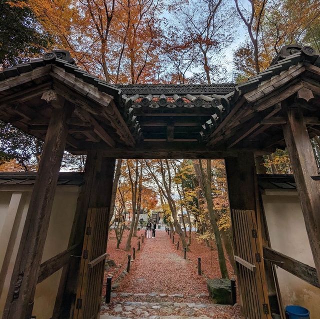 地藏院：南投埔里鎮佛教寺院，禪林和圖書館