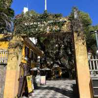「仁慈堂婆仔屋」❣️澳門文化創意基地，探索本土藝術