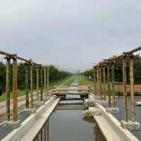 แอ่วสวนส้มปรีชา
(Preecha Farm)