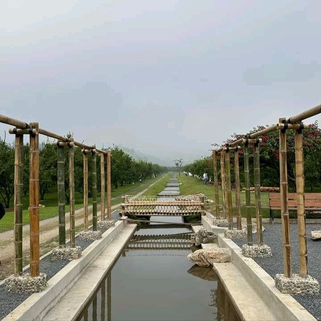 แอ่วสวนส้มปรีชา
(Preecha Farm)