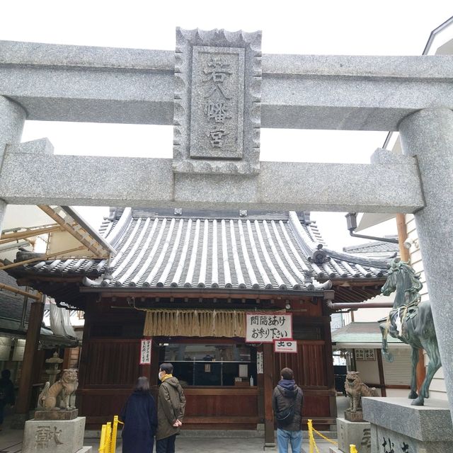 福岡観光2023 「若八幡宮」