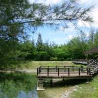 絕美密境~台東森林公園琵琶湖