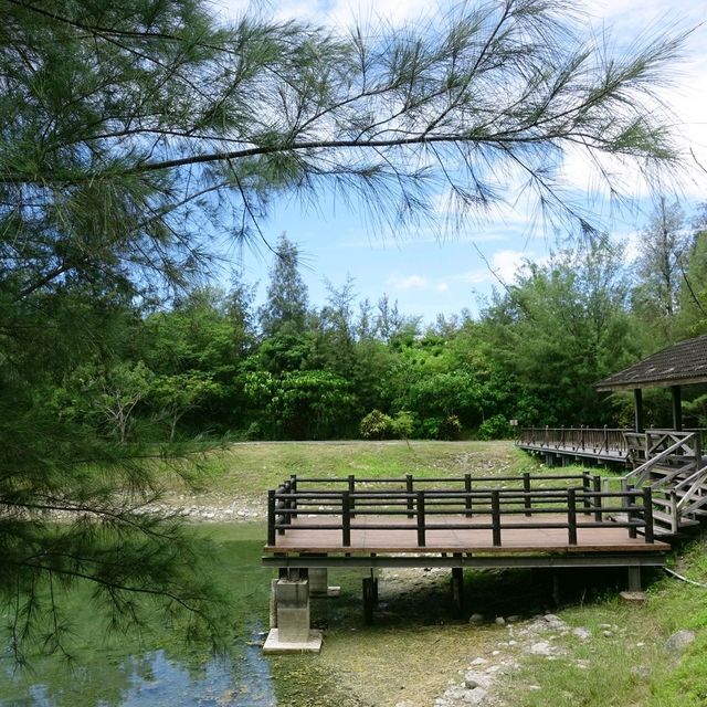 絕美密境~台東森林公園琵琶湖