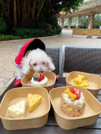 😳🐶果逸寵愛下午茶☕️🍹