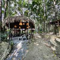 เชสท์นัท ฮิลล์ อีโค่ รีสอร์ท & คาเฟ่