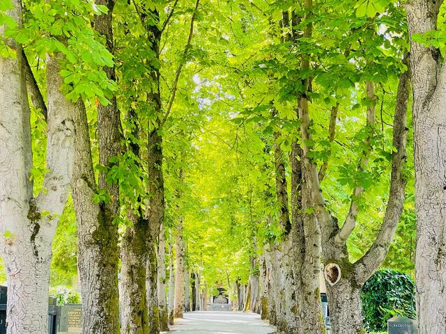 A beautiful cemetery to see.