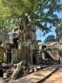 Ta Prohm Temple_in Tomb Rider Movie