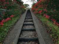 Shiroyama Park