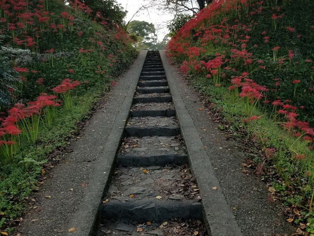 Shiroyama Park
