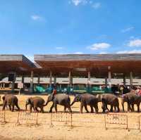 Elephant World