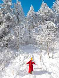 주차후1분! 눈꽃이 가득한 설산은 여기 만항재🏔️