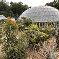 深圳仙湖植物園，愛花人士必到景點