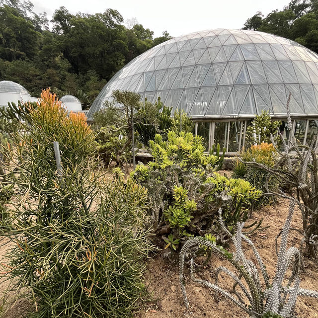 深圳仙湖植物園，愛花人士必到景點
