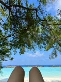 🇲🇻馬爾代夫Krumba椰子島帶給你最放鬆美好時光🥥🏖️