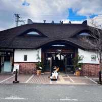 【貴志駅😺】來探探最可愛的駅站長——二代玉
