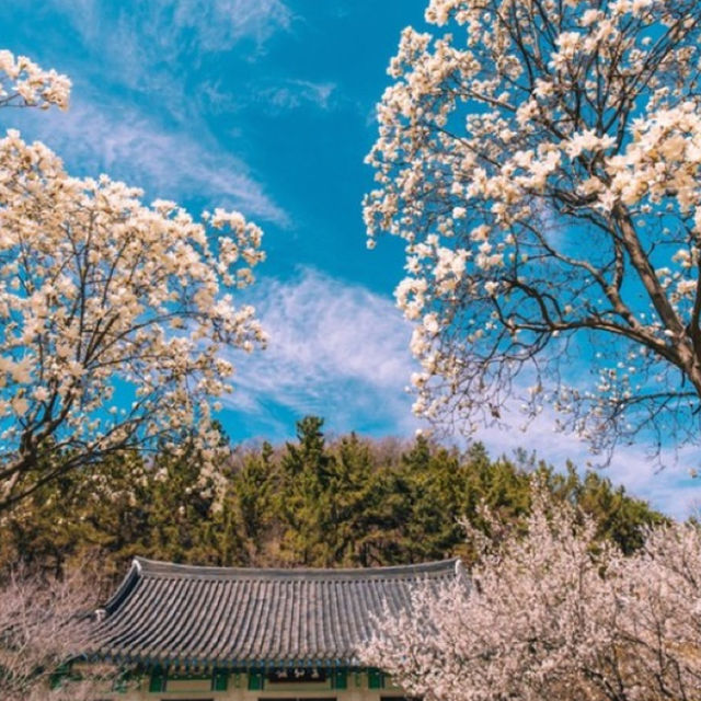 really pretty big garden