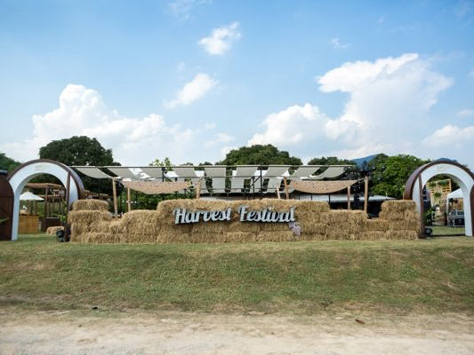 ‘ Monsoon Valley Harvest Festival 2024 ‘ 🍇🍃🧺 