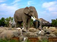 Dubai Safari Park