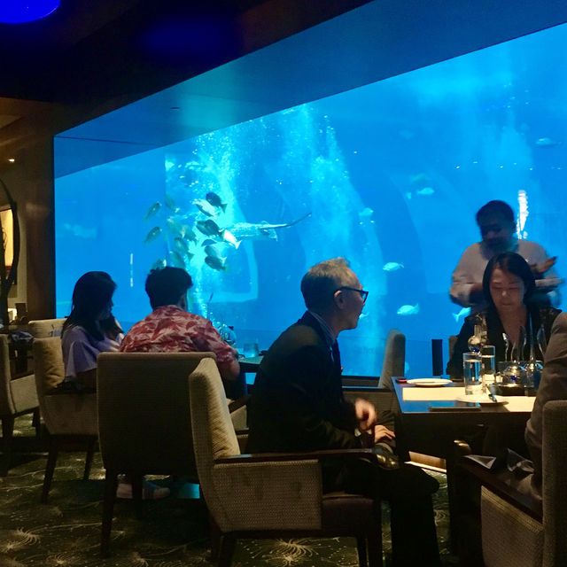 新加坡夢幻海底餐廳「Ocean Restaurant 」🐠