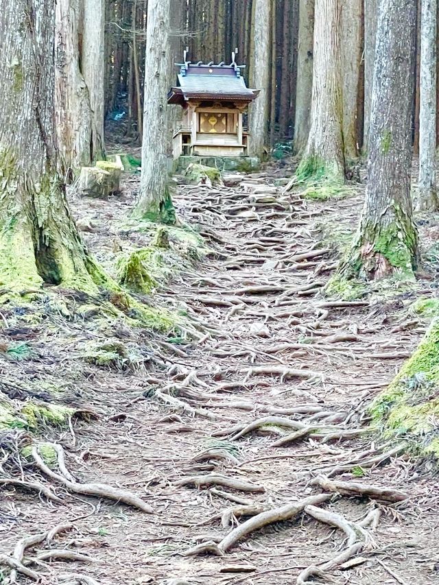 【御岩神社/茨城県】188柱もの神様を祀る神社