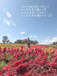 那須のオススメお花畑