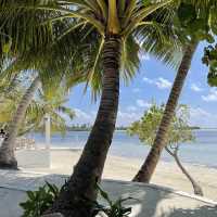 Scenic restaurant in tropical paradise 