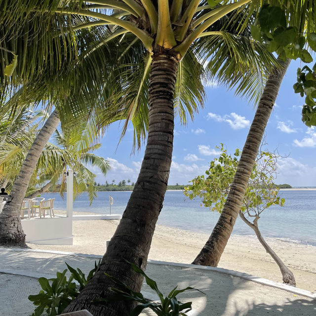 Scenic restaurant in tropical paradise 