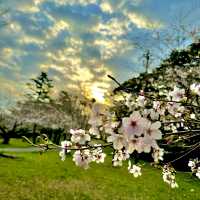 豊橋公園