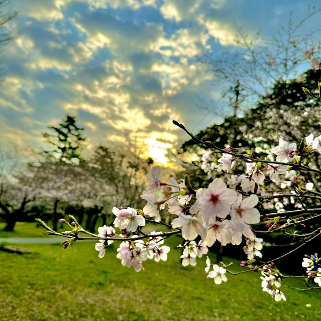豊橋公園