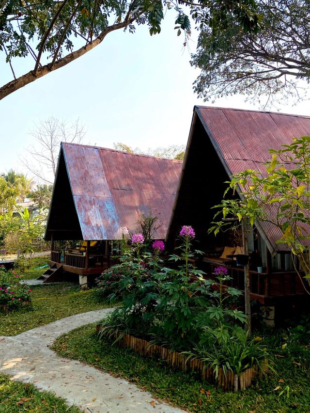 🇹🇭 A sweet getaway at Farmstay@ Pai