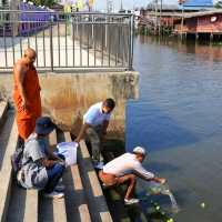 นั่งเรือ ไหว้พระ นั่งชิลล์คาเฟ่ คลองอ้อมนนท์
