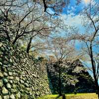松阪城跡