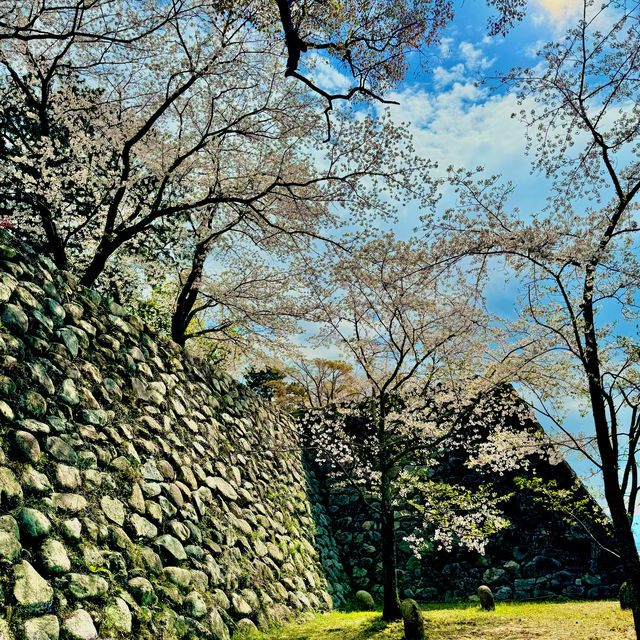 松阪城跡