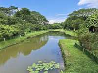 Serene and Peaceful Park