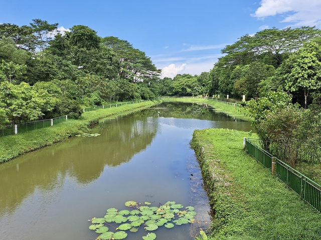 Serene and Peaceful Park