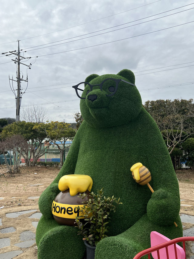 거제 핫플 정글돔 거제 식물원🌿🌳