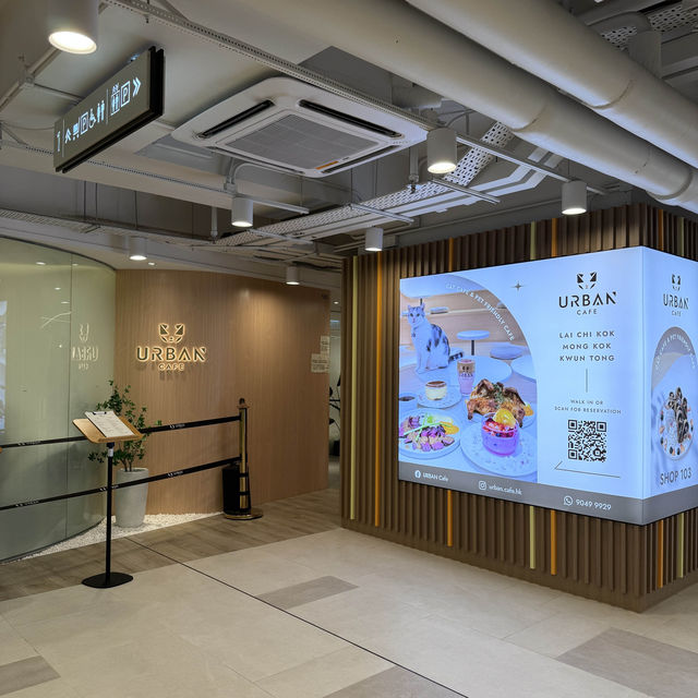 應該係香港最大既貓狗cafe🤩